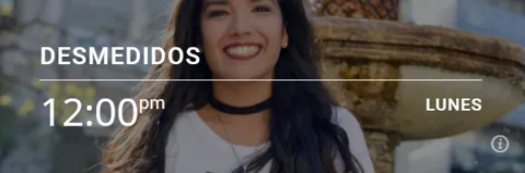 Diccionario